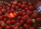 Kafenés - arid cherry tomatoes