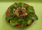 Kafenés - Octopus salad