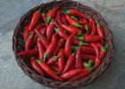 Kafenés - Red chilli peppers